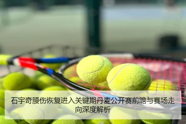 石宇奇腰伤恢复进入关键期丹麦公开赛前瞻与赛场走向深度解析