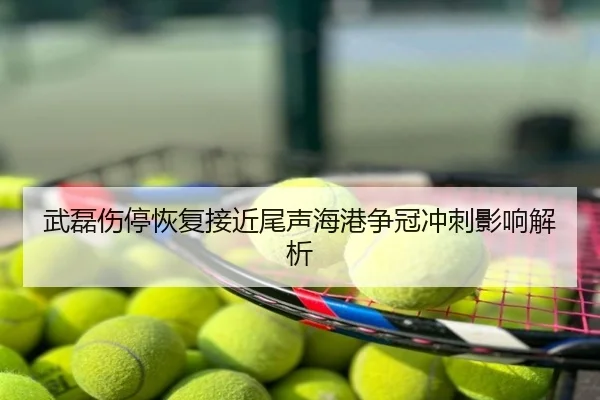 武磊伤停恢复接近尾声海港争冠冲刺影响解析